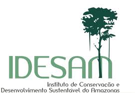www.idesam.org.br